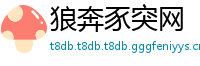 狼奔豕突网